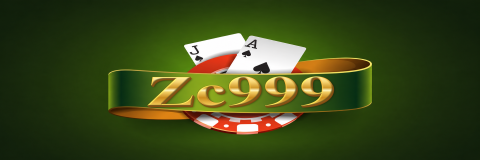 Zc999